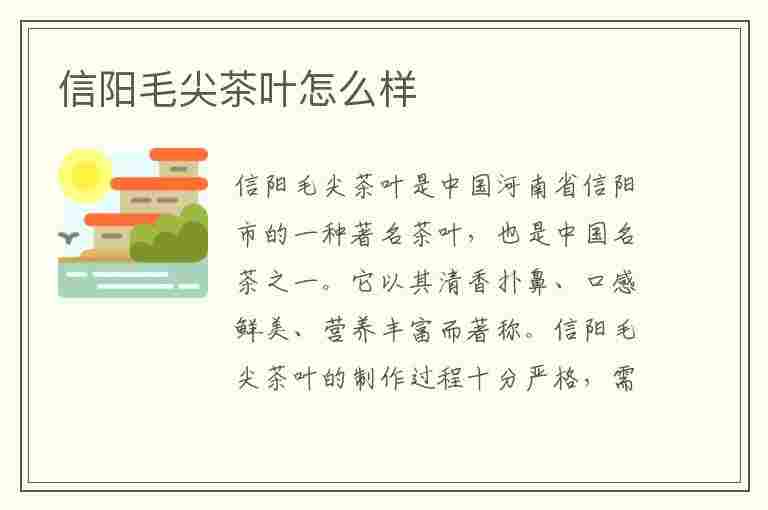 信阳毛尖茶叶怎么样(信阳毛尖的茶叶)